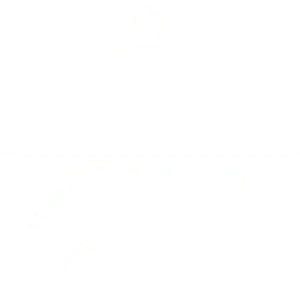 reputacion-online